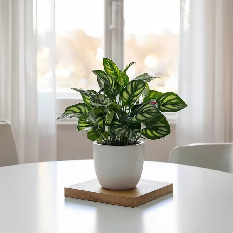 Small Artificial Bonsai in Pot